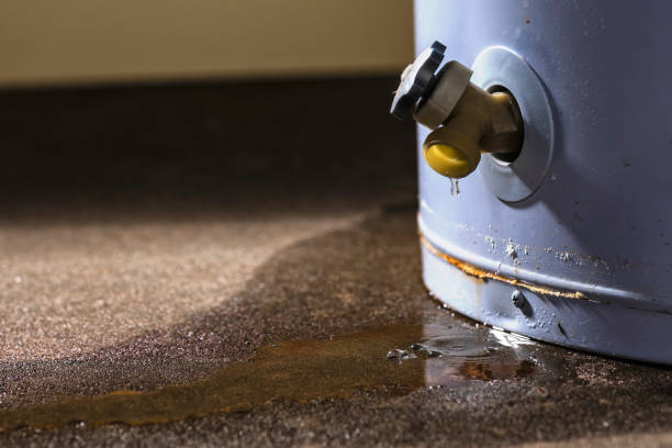 Best Ceiling water damage repair  in Rockmart, GA