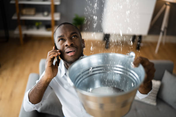 Best Local water damage restoration  in Rockmart, GA