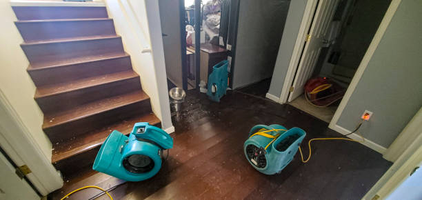 Best Fire Damage Restoration  in Rockmart, GA