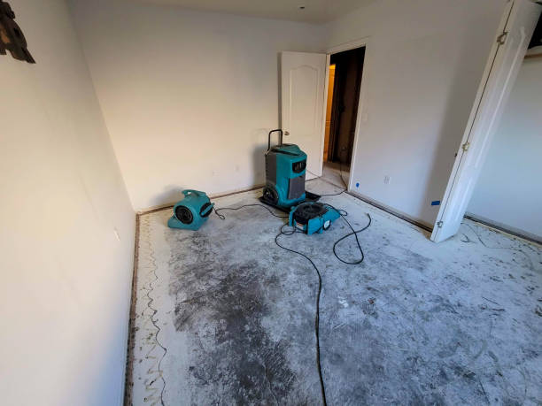 Best Sewage cleanup and water damage restoration  in Rockmart, GA