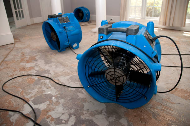 Best Water damage restoration insurance claims  in Rockmart, GA