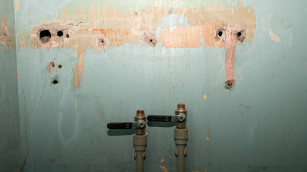 Best 24/7 water damage repair  in Rockmart, GA