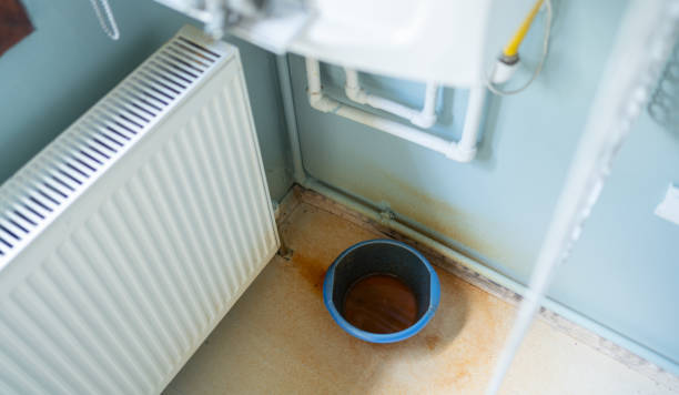 Best Mold removal after water damage  in Rockmart, GA