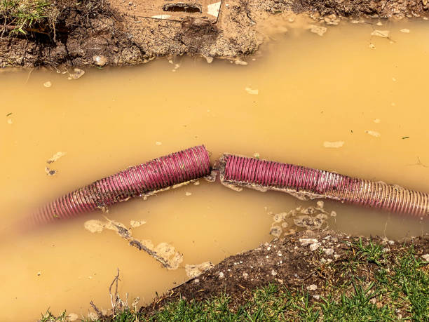 Best Professional water damage repair  in Rockmart, GA