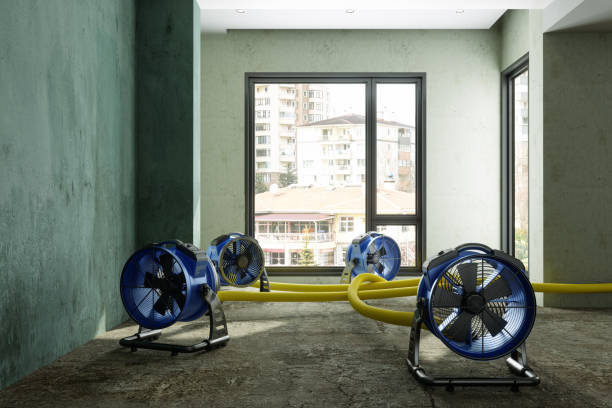 Best Residential water damage restoration  in Rockmart, GA